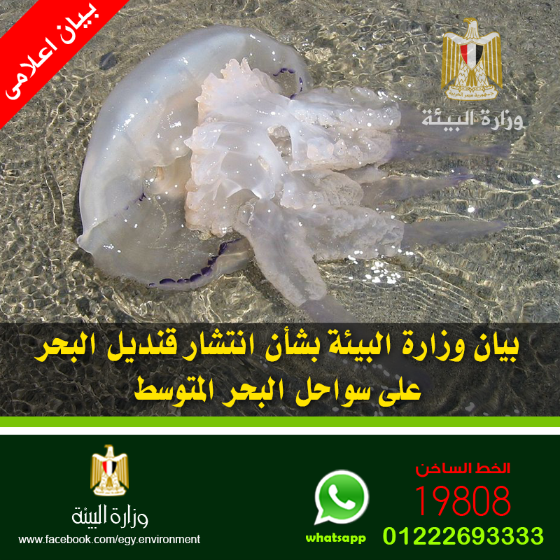 News img